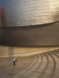 The Guggenheim Museum, Bilbao, Spain Fotografie-Druck von Walter Bibikow