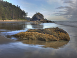 Low Tide, Olympic National Park, Washington, USA Photographie par Tom Norring