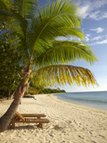 Beach and Palm Trees, Plantation Island Resort, Malolo Lailai Island, Mamanuca Islands, Fiji Photographic Print by David Wall