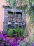 Window with Geraniums, San Miguel De Allende, Mexico Photographic Print by Alice Garland