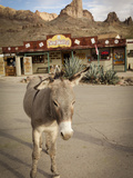 Route 66, Oatman, Arizona, USA Photographic Print by Julian McRoberts