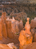 Thor's Hammer, Hoodoo, Bryce Canyon National Park, Utah, USA Photographie par Tom Norring