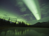 Aurora Borealis, Alaska, USA Photographic Print by Hugh Rose