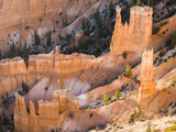 Wall of Hoodoos at Bryce Canyon National Park, Utah, USA Photographie par Tom Norring