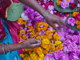 Woman Selling Flower, Pushkar, Rajasthan, India Photographic Print by Keren Su