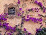 Ornamental Window, San Miguel De Allende, Mexico Photographic Print by Alice Garland