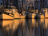 Shrimp Boats, Georgia, USA Photographic Print by Joanne Wells