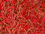 Hot Chili, Semporna, Borneo, Malaysia Photographic Print by Anthony Asael