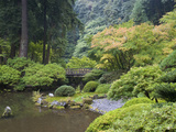 The Strolling Pond with Moon Bridge in the Japanese Garden, Portland, Oregon, USA Photographic Print by Greg Probst