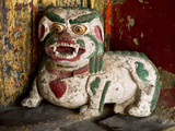 Animal by Hemis Monastery, Ladakh, India Photographic Print by Jaina Mishra