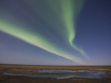 Aurora Borealis, Arctic National Wildlife Refuge, Alaska, USA Photographic Print by Hugh Rose