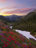 Badger Valley Sunrise, Olympic National Park, Washington, USA Photographic Print by Gary Luhm