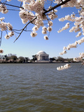 Cherry Blossom Festival, Washington DC, USA, District of Columbia Photographic Print by Lee Foster