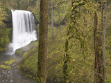 Middle Falls, Silver Falls State Park, Oregon, USA Photographic Print by William Sutton