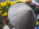 A Woman Sell Flowers in Hoi An, Vietnam Photographic Print by David H. Wells