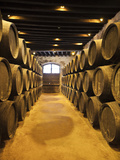 Sherry Casks, Bodegas Gonzalez Byass, Jerez De La Frontera, Spain Photographic Print by Walter Bibikow