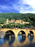 Heidelberg Castle, Heidelberg, Germany Photographic Print by Miva Stock