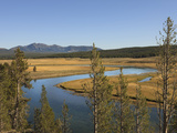 River Snaking Through the Meadows, Yellowstone National Park, Wyoming, USA Photographic Print by Tom Norring