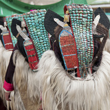 Married Ladakhi Women with Perak, Ladakh, India Photographic Print by Jaina Mishra