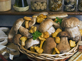 Penny Bun, Cap (Boletus Edulis), Chanterelles (Cantharellus Cibarius), Mushrooms, Italy Photographic Print by Nico Tondini