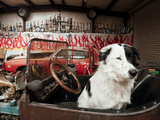 Route 66, Prewitt, New Mexico, USA Photographic Print by Julian McRoberts
