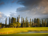 Makai Golf Course, Kauai, Hawaii, USA Photographie par Micah Wright