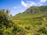 Kipu Ranch, Kauai, Hawaii, USA Photographie par Micah Wright