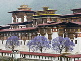 Punakha Dzong Palance, Bhutan Photographic Print by Dennis Kirkland