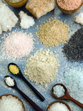 Various Types of Salt Photographic Print by Nico Tondini