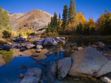 Sunrise at North Lake, Eastern Sierra Foothills, California, USA Photographie par Tom Norring