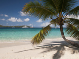 Tranquil White Sand Beach, St John, United States Virgin Islands, USA, US Virgin Islands, Caribbean Photographic Print by Trish Drury