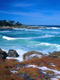 Beach, California, USA Photographie par John Alves