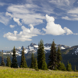 Alpine Meadow and Sarvent Glaciers, Mount Rainier National Park, Washington, USA Photographic Print by Jamie & Judy Wild