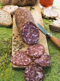 Finocchiona, Tuscan Salami with Wild Fennel Seeds, Florence, Tuscany, Italy, Italian Gastronomy Photographic Print by Nico Tondini