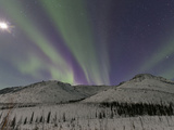 Northern Lights, White Mountain National Recreation Area, Alaska, USA Photographic Print by Hugh Rose