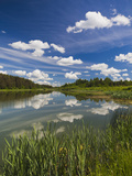 Alexander Pushkin Preserve, Pushkinskie Gory, Pskovskaya Oblast, Russia Photographic Print by Walter Bibikow