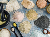 Various Types of Salt Photographic Print by Nico Tondini
