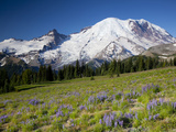 Steamboat Prow Formation, Mount Rainier National Park, Washington, USA Photographic Print by Jamie & Judy Wild