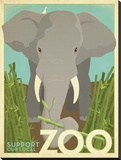 Zoo Elephant Stretched Canvas Print by  Anderson Design Group