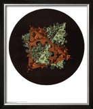 Double Planetoid Prints by M. C. Escher