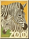 Zoo Zebra Stretched Canvas Print by  Anderson Design Group