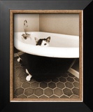Kitty III Prints by Jim Dratfield