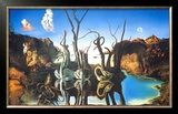 Reflections of Elephants Prints by Salvador Dalí