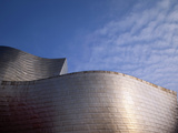 Spider Sculpture, the Guggenheim Museum, Bilbao, Spain Photographic Print by Walter Bibikow