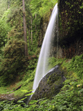 North Falls, Silver Falls State Park, Oregon, USA Photographic Print by Michel Hersen