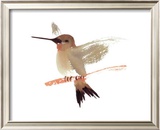 Hummingbird Prints by Aurore De La Morinerie