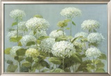 White Hydrangea Garden Poster by Danhui Nai