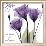 Gentian Hope Poster by Albert Koetsier