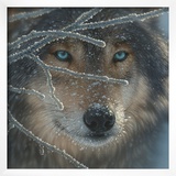 Fire in Ice Posters by Collin Bogle