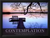Contemplation Prints